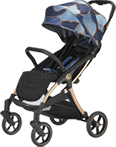 Hbg6